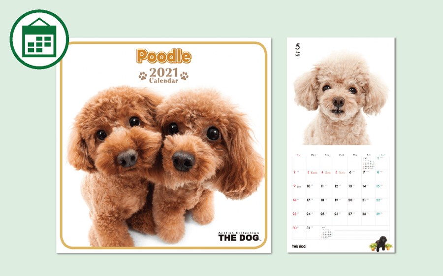 THE DOG Mini Wall Calendar Poodle