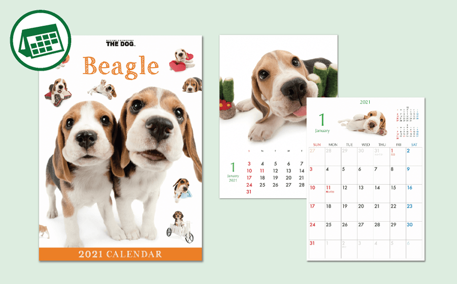 THE DOG Desk Calendar Beagle